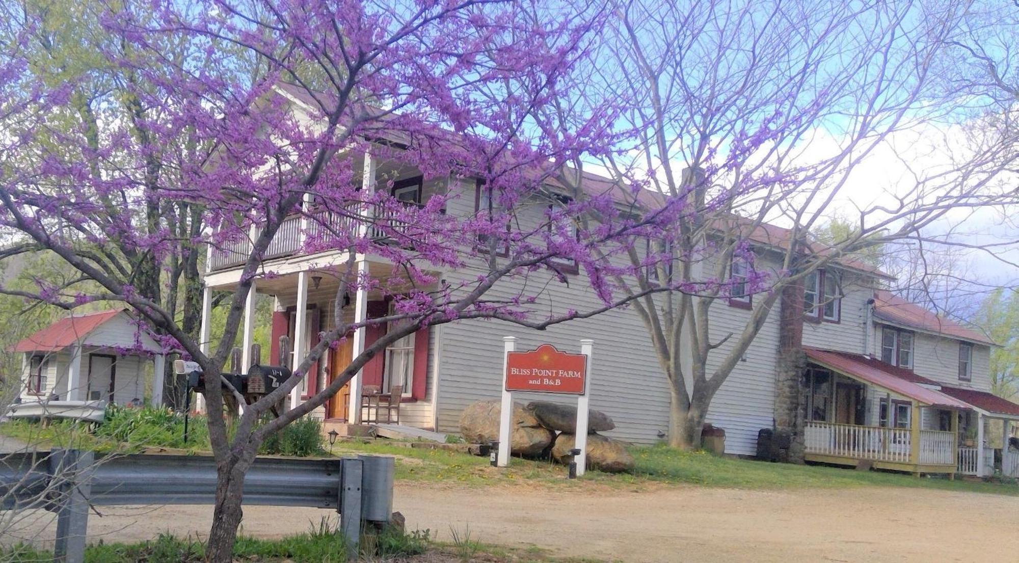 Bliss Point Farm And B&B, Llc Earlysville 외부 사진