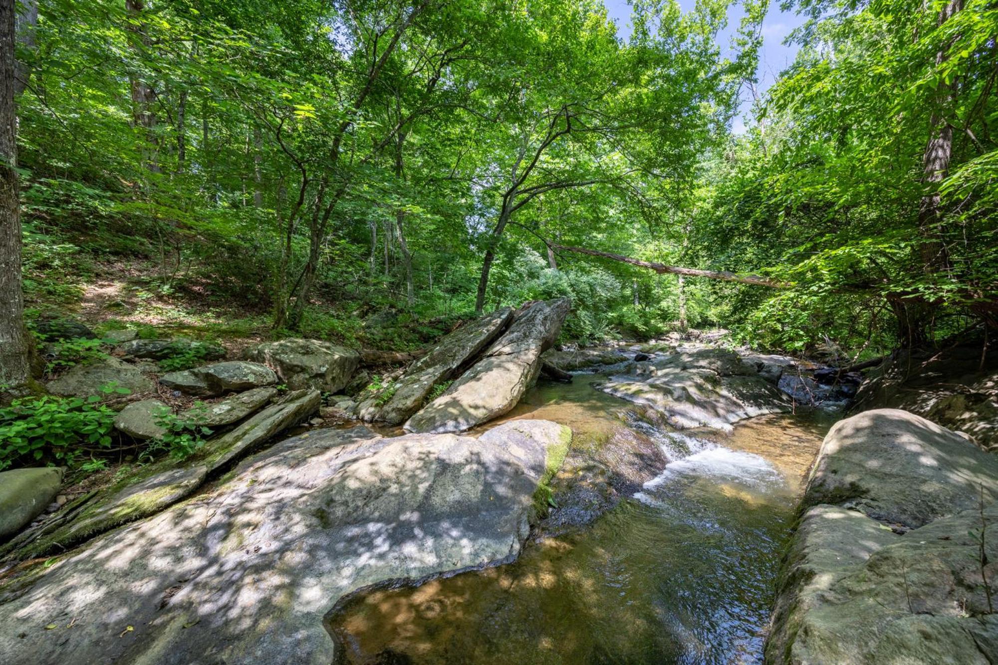 Bliss Point Farm And B&B, Llc Earlysville 외부 사진